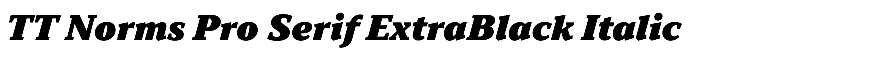 TT Norms Pro Serif ExtraBlack Italic